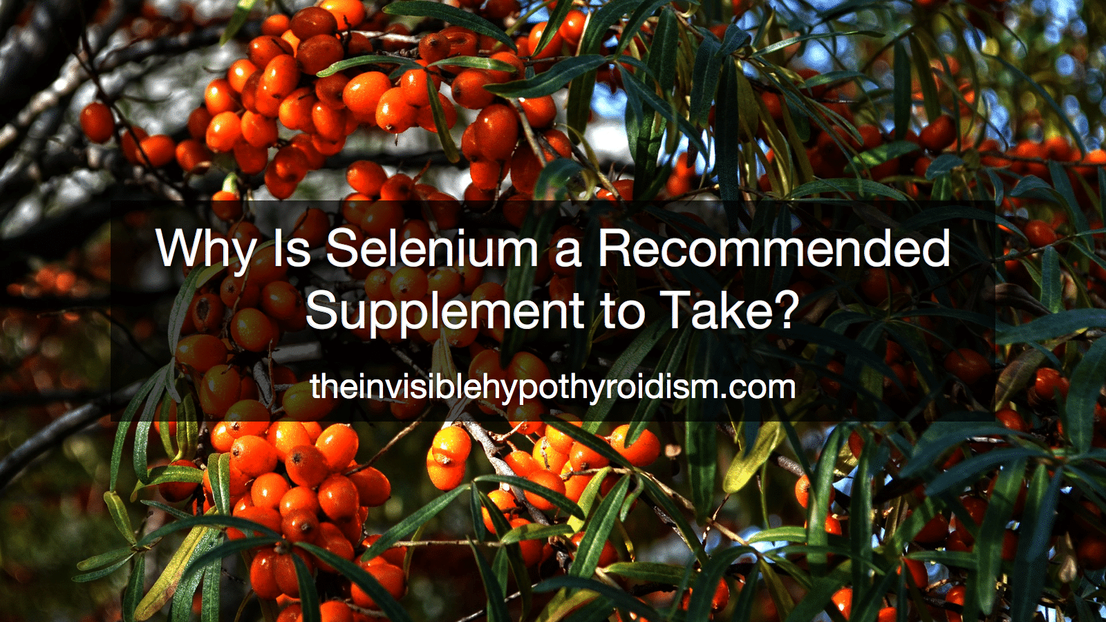 Selenium and Your Thyroid